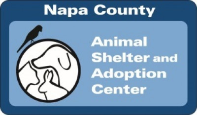 Napa County Animal Shelter - Pet Shelter and Rescue in Napa, California