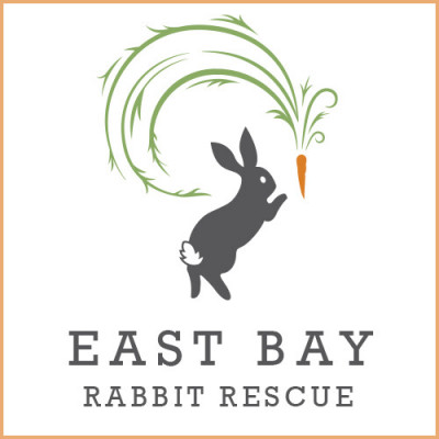 East Bay Rabbit Rescue - Pet Shelter and Rescue in Livermore, California