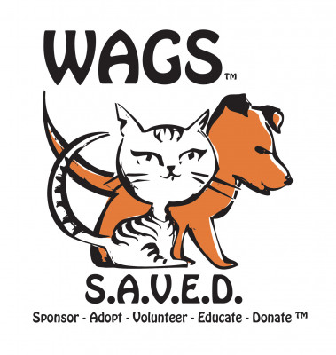 WAGS Pet Adoption - Pet Shelter and Rescue in Westminster, California