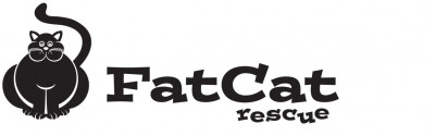 Fat Cat Rescue - Pet Shelter and Rescue in Mountain View, California