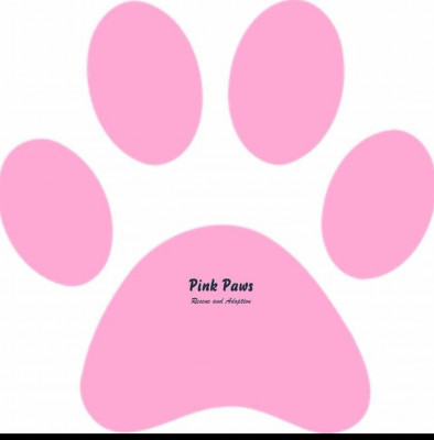 Pink Paws Rescue & Adoption - Pet Shelter and Rescue in Thousand Oaks, California