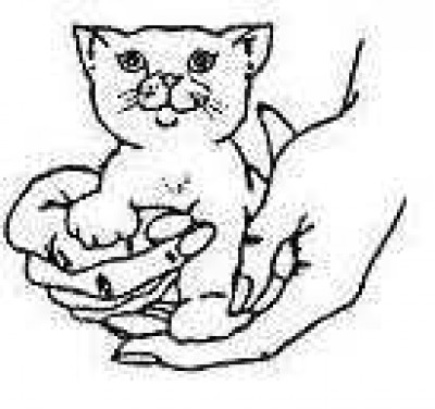 Friends Of Cats - Pet Shelter and Rescue in El Cajon, California