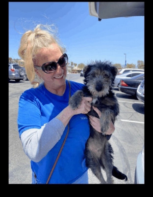 TLC Of IE - Pet Shelter and Rescue in Moreno Valley, California