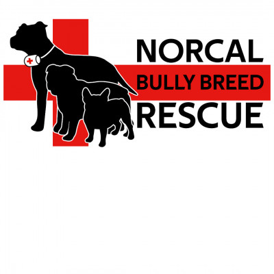 NorCal Bully Breed Rescue - Pet Shelter and Rescue in Citrus Heights, California