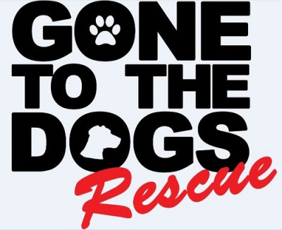 Gone To The Dogs Rescue Inc. - Pet Shelter and Rescue in Redondo Beach, California