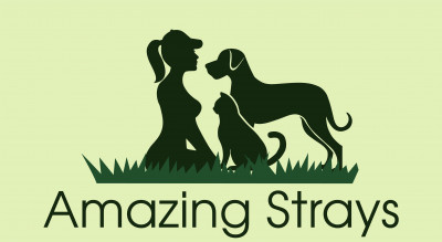 Amazing Strays Rescue - Pet Shelter and Rescue in San Diego, California