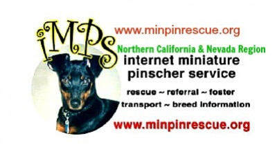 IMPS - Internet Miniature Pinscher Service, Inc. - Northern CA/NV Region - Pet Shelter and Rescue in Sacramento, California