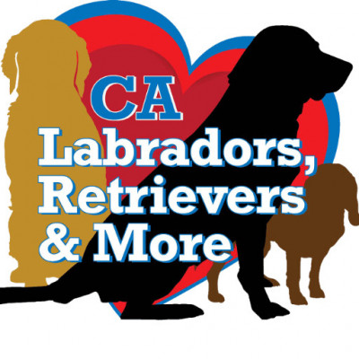 California Labradors Retrievers And More - Pet Shelter and Rescue in San Diego, California