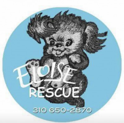 Eloise Rescue - Pet Shelter and Rescue in West Hollywood, California