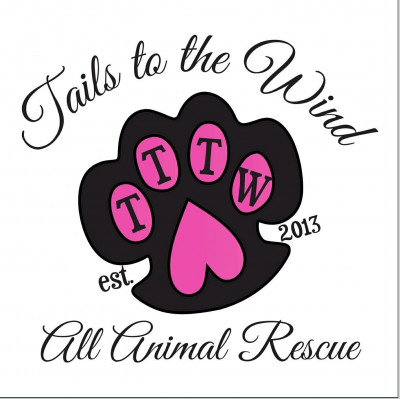 Tails To The Wind - Pet Shelter and Rescue in Los Angeles, California
