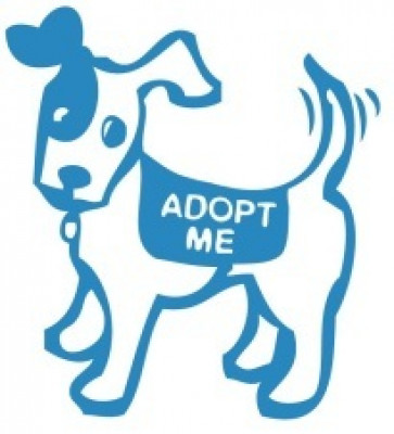 K-9 PALS (K-9 Placement And Assistance League, Inc.) - Pet Shelter and Rescue in Santa Barbara, California