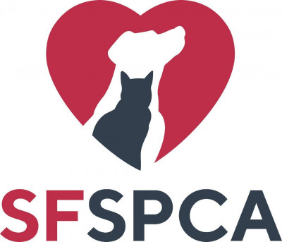 San Francisco SPCA - Pet Shelter and Rescue in San Francisco, California