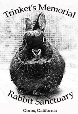 Trinkets Memorial Rabbit Sanctuary - Pet Shelter and Rescue in Ceres, California