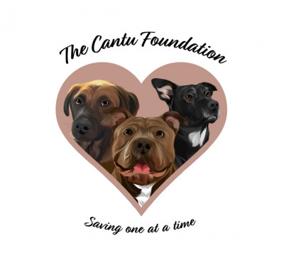 The Cantu Foundation - Pet Shelter and Rescue in San Diego, California