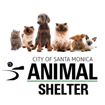 Santa Monica Animal Shelter - Pet Shelter and Rescue in Santa Monica, California