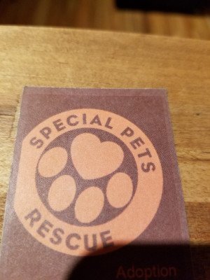 Special Pets Rescue - Pet Shelter and Rescue in Santa Rosa, California