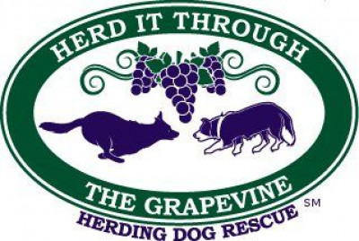 Herd It Through The Grapevine - Pet Shelter and Rescue in Santa Rosa, California
