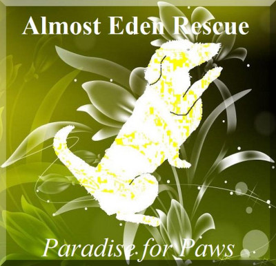 Almost Eden Rescue - Pet Shelter and Rescue in Ridgecrest, California