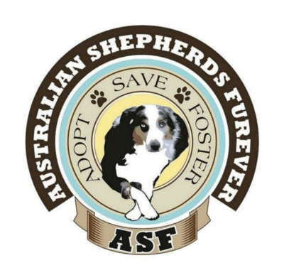 Australian Shepherds Furever - Pet Shelter and Rescue in Ontario, California