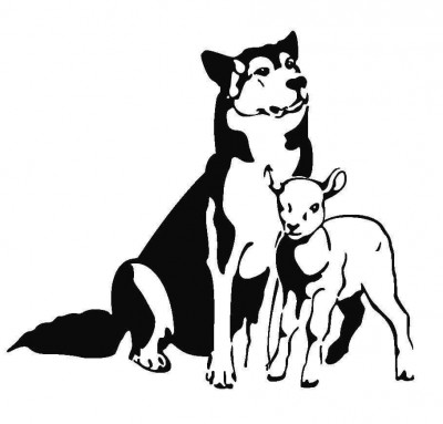 Domino Effect Animal Rescue - Pet Shelter and Rescue in Temecula, California