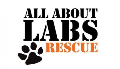 All About Labs Rescue Inc. - Pet Shelter and Rescue in Beverly Hills, California