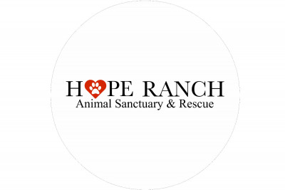 Hope Ranch Animal Sanctuary - Pet Shelter and Rescue in Anza, California