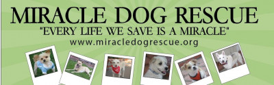 Miracle Dog Rescue - Pet Shelter and Rescue in Bell Gardens, California