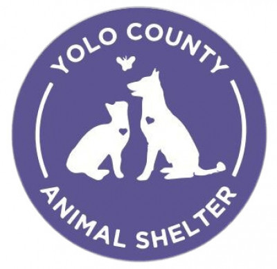 Yolo County Animal Services - Pet Shelter and Rescue in Woodland, California