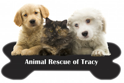 Animal Rescue Of Tracy - Pet Shelter and Rescue in Tracy, California