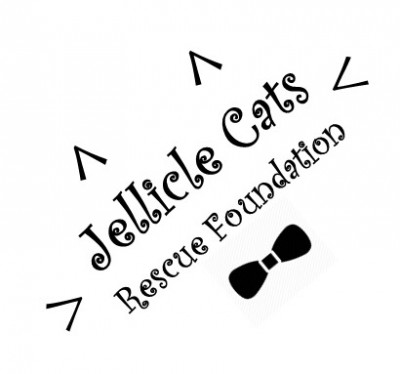 Jellicle Cats Rescue Foundation - Pet Shelter and Rescue in Lakewood, California