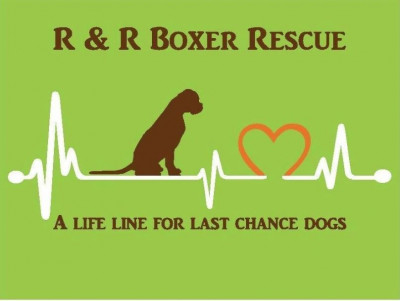 R & R Boxer Rescue - Pet Shelter and Rescue in Costa Mesa, California