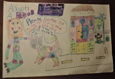 Calaveras County Animal Services - Pet Shelter and Rescue in San Andreas, California