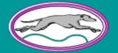 Amazing Greys Retired Racers - Pet Shelter and Rescue in Tracy, California