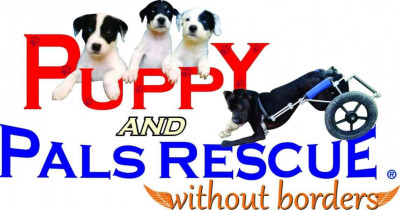 Puppy And Pals Without Borders Rescue - Pet Shelter and Rescue