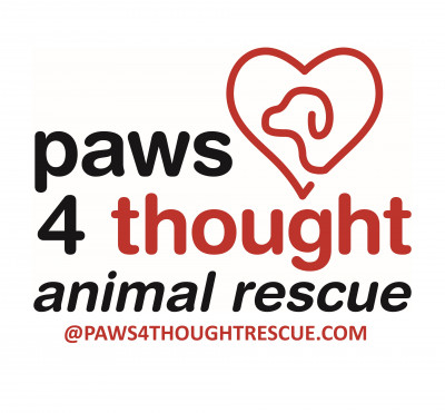 PAWS4thought Animal Rescue - Pet Shelter and Rescue in Bonita, California