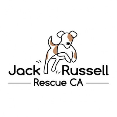 Jack Russell Rescue CA - Pet Shelter and Rescue in Moorpark, California