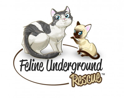 Feline Underground Rescue - Pet Shelter and Rescue in Winchester, California