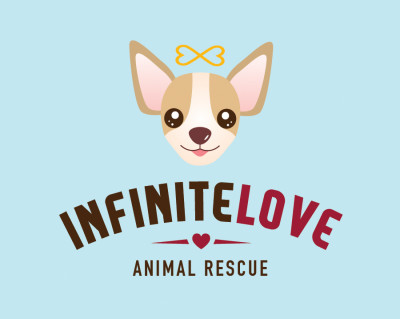 Infinite Love Animal Rescue - Pet Shelter and Rescue in Gardena, California