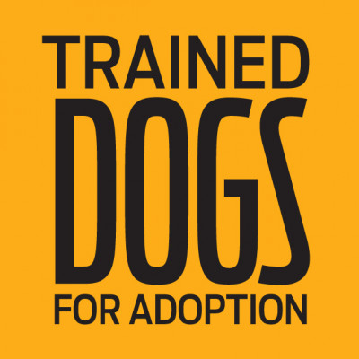 Trained Dogs For Adoption, Inc - Pet Shelter and Rescue in Altadena, California