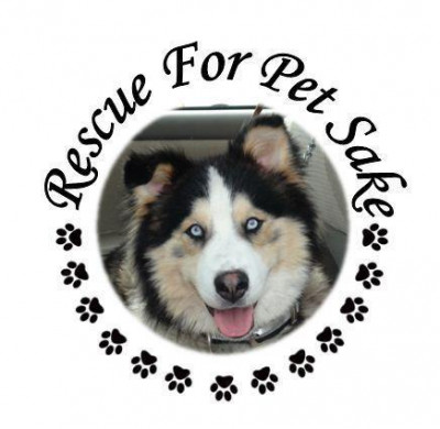 Rescue For Pet Sake - Pet Shelter and Rescue in Grass Valley, California