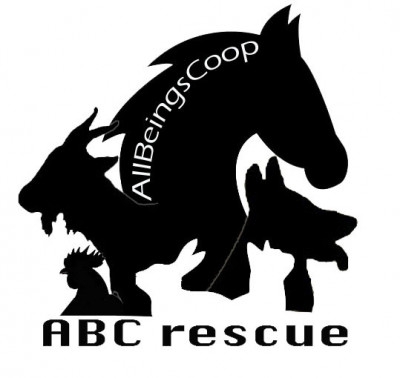 All Beings Cooperative Animal Rescue - Pet Shelter and Rescue in Lafayette, California