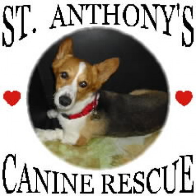 St. Anthonys Canine Rescue & Corgi Matchmaker - Pet Shelter and Rescue in Lomita, California