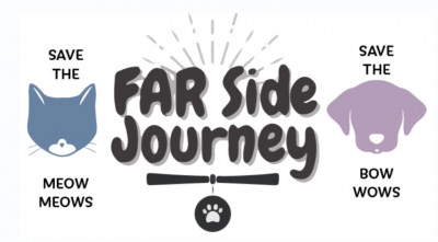 FAR Side Journey - Pet Shelter and Rescue in Yucca Valley, California