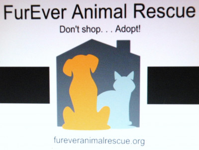FurEver Animal Rescue - Pet Shelter and Rescue in San Pablo, California