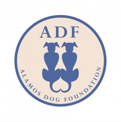 Alamos Dog Foundation - Pet Shelter and Rescue in Los Angeles, California