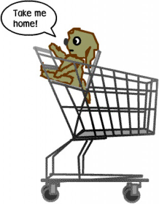 Small Time Rescue - Pet Shelter and Rescue in Los Angeles, California