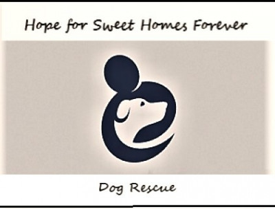 Hope 4 Sweet Homes Rescue - Pet Shelter and Rescue in Sierra Madre, California