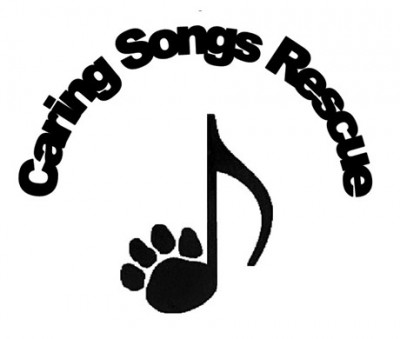 Caring Songs Rescue - Pet Shelter and Rescue in Manhattan Beach, California