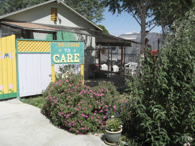 C.A.R.E. Aka: Cat/Canine Assist. Ref. Educ. - Pet Shelter and Rescue in Littlerock, California