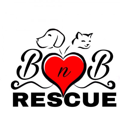 BnB Rescue - Pet Shelter and Rescue in Eagle, Idaho